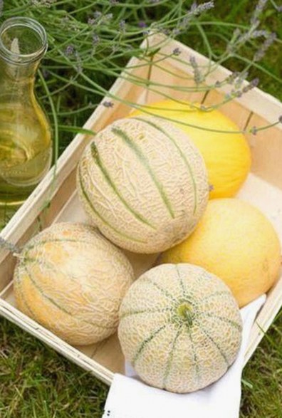 揭秘娱乐圈吃瓜博主背后的真相与热搜密码